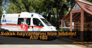 hayvan_ambulansı_petgazete_alo_153_antalya_belediyesi