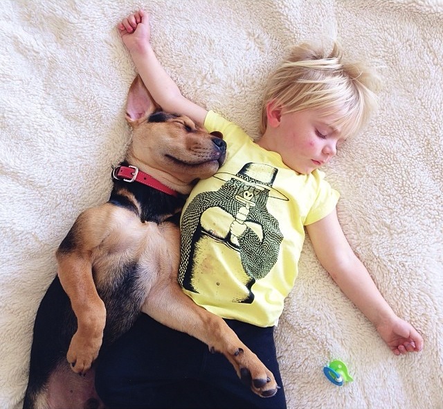 A-Naptime-Story-with-Dog-and-Baby-3