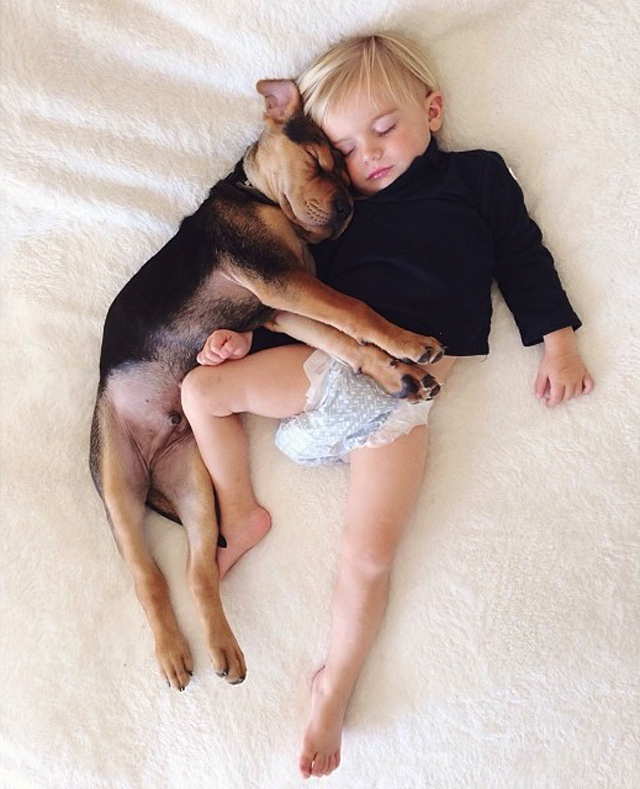 A-Naptime-Story-with-Dog-and-Baby-6
