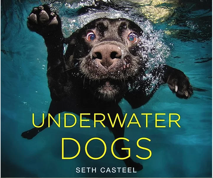 Su altında köpekler
