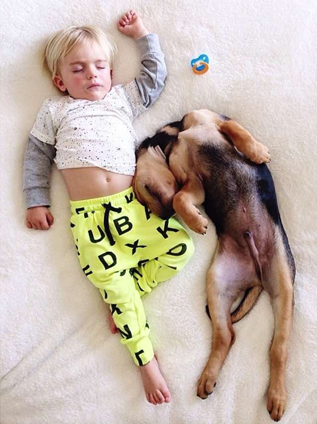 A-Naptime-Story-with-Dog-and-Baby-10