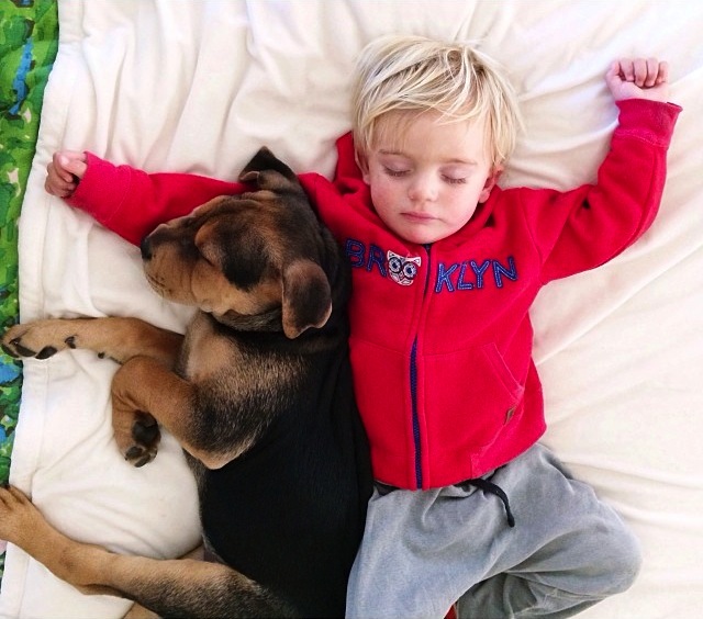 A-Naptime-Story-with-Dog-and-Baby-4