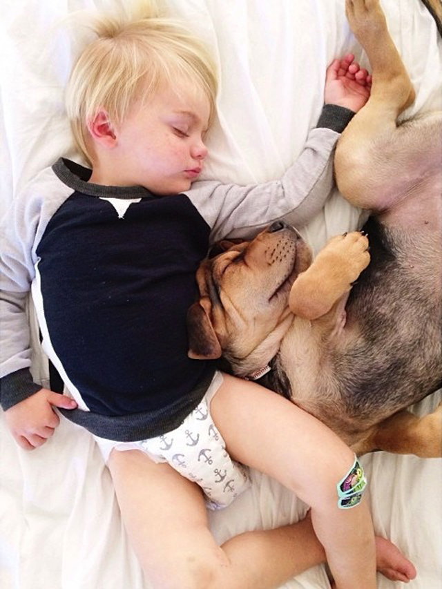 A-Naptime-Story-with-Dog-and-Baby-9