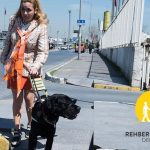 Veteriner Hekimlere Kolay ve Hızlıca Ulaşmayı Sağlayan Girişim, Vet Randevu