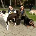 1100 Sokak Hayvanına Ev Sahipliği Yapan Bakım ve Rehabilitasyon Merkezi Havadan Görüntülendi