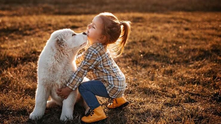 Çocukları hayvanlarla birlikte büyütmeniz için 11 neden