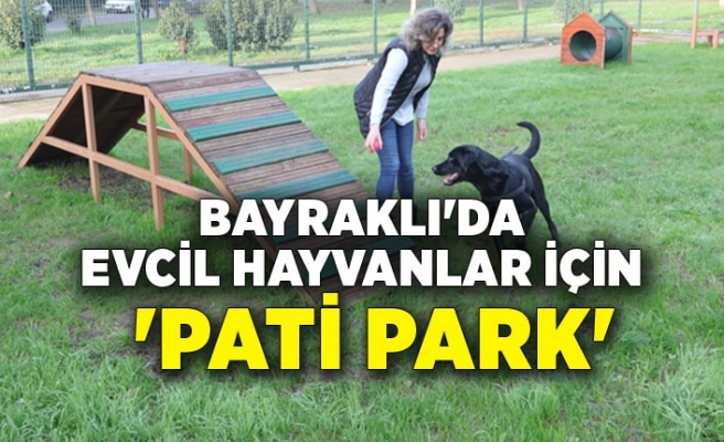 Bayraklı’da Evcil Hayvanlar İçin ‘Pati Park’