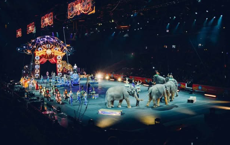 Geleneksel Sirk Modeli Tarihe Karışıyor: Fransa’dan Hayvan Hakları Hamlesi…