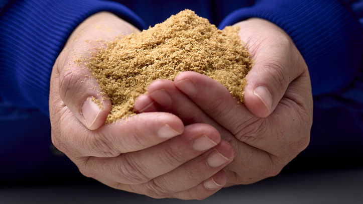 Balıksız Omega-3 Devri: Butternut Box ve MiAlgae Ortaklığı…