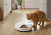 Closer Pets, Sunday Times’ın 2026 Yılının En İyi Çalışma Yerleri Listesine Dahil Edildi