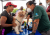 Humane World for Animals Kuzey Venezuela’da Pop-Up Veteriner Klinikleri Açtı